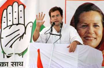 congress will defeat mayawati rahul