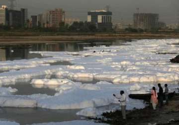 yamuna restoration ngt asks committee to determine flow