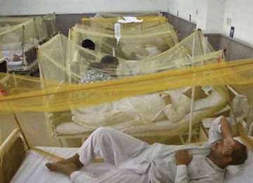 first dengue death in kolkata