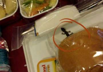 air india rubbishes reports of lizard in food tray