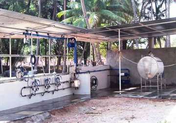 uttar pradesh to set up 72 milk parlours soon