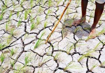 nearly half of india rain deficient imd