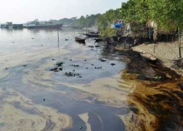 indian side not affected by bangladesh oil spill officials