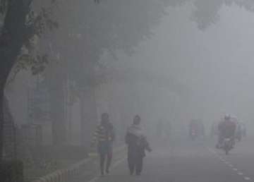 delhi witnesses season s coldest morning at 4.9 degrees celsius