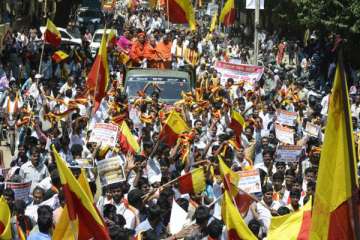 bandh over cauvery water cripples life in karnataka