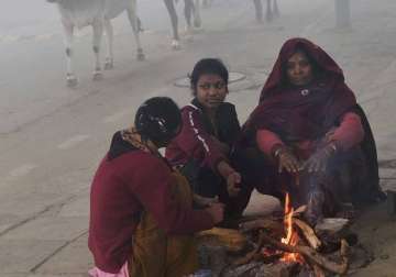 cold wave intensifies in j k kargil coldest at 14.5 deg c