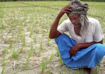 mahrashtra farmer suicides yavatmal collector summoned