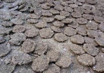 burning of cow dung cakes banned near taj mahal