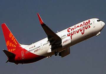spicejet flight hits animal before take off at surat airport