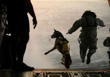 american canine officers in india for obama security