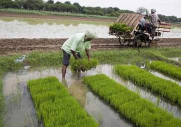 monsoon to be normal in june kharif sowing to pick up imd
