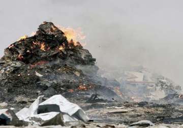 national green tribunal bans burning of garbage in vrindavan