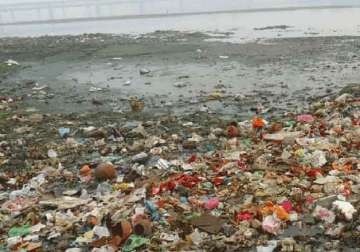 ngt seeks more information about tanneries on ganga banks before ruling