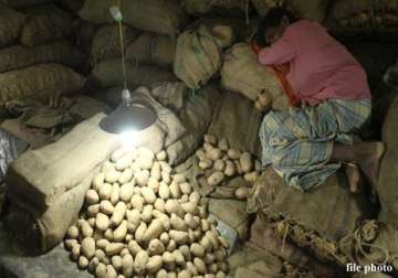 potato traders call indefinite strike prices likely to go up