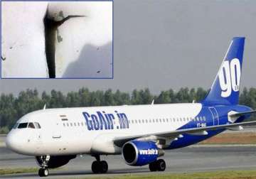 goair plane hits aerobridge at chennai airport no one hurt