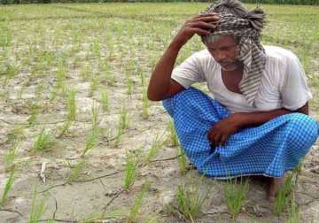 drought hit maharashtra sees 40 increase in farmer suicides