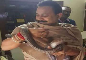 bihar education minister ashok chaudhary wraps a snake in his hand photos go viral