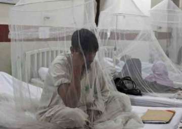 40 cases of dengue 31 cases of malaria in delhi