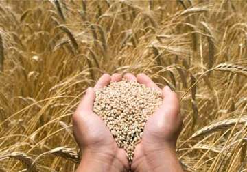 enough cereals but need to import oil pulses centre tells sc
