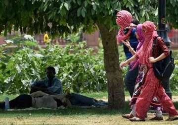 jaipur at 45.9 degrees celsius hottest may day in 10 years