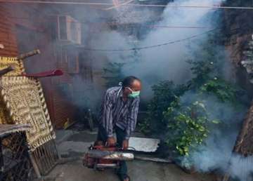 india has six million unreported dengue cases study