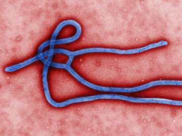 man tests positive for ebola kept under isolation
