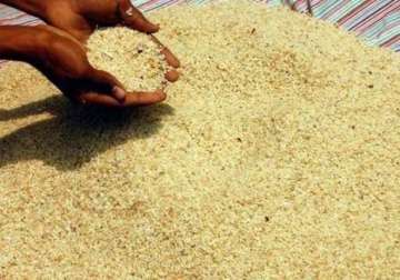 odisha rice millers seek quality paddy