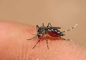 18 cases of dengue in delhi out of 20 reported in ncr report