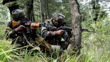 india lodges protest with pak over ceasefire violations