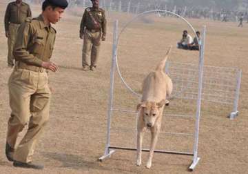 police dog crushed to death by truck in bihar 5 policemen suspended