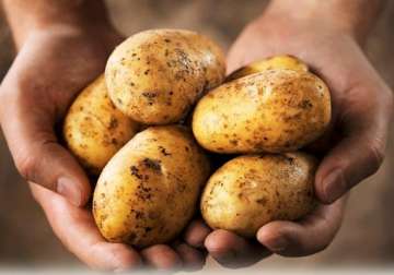 government to import potatoes to curb rising prices