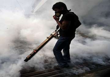 dengue outbreak in bihar 156 cases detected