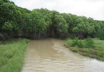 odisha preparing management plan for wetlands