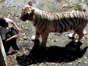 family of youth killed by tiger wants justice