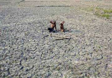 52 rainfall deficit deepens maharashtra record drought