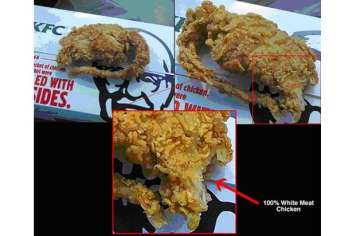 kfc releases report of lab test on rat claim