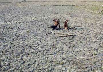 50 uttar pradesh districts declared drought hit