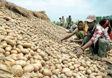 odisha targets 5 lakh tonnes potato produce in koraput by 2015