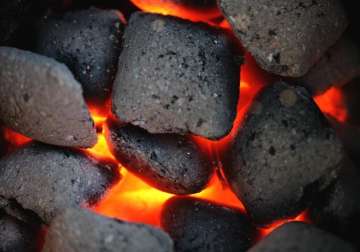 ngo terms coal ordinance as anti people asks mps to oppose