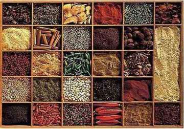 spices india one stop destination for quality indian spices