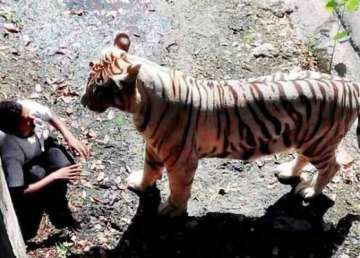 delhi zoo to have proper precautionary mechanisms