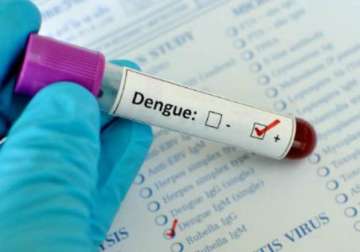 dengue eidempic likely to be more severe next year
