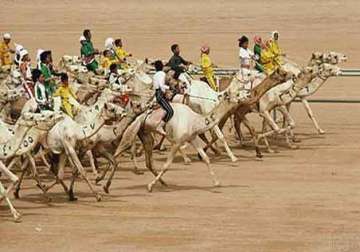 kidnapped for camel racing the curious case of ncrb data