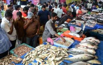india way behind china in fish production
