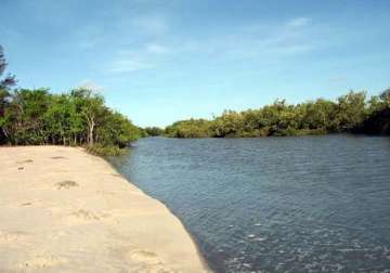 ngt asks west bengal govt to demolish illegal structures in sunderbans