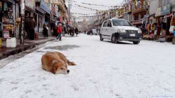 leh coldest at minus 17 srinagar shivers at minus 4.8