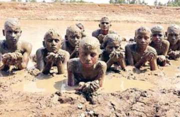 people marry frogs pray in mud for monsoon in india