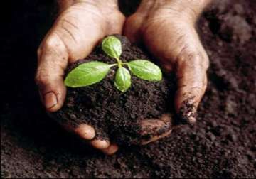 pm to launch soil health card scheme on february 19