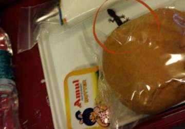 pictures of lizard in flyer s meal tray goes viral air india denies