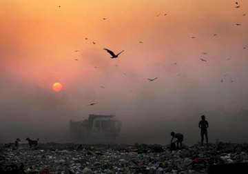 air pollution causes one of every eight deaths who